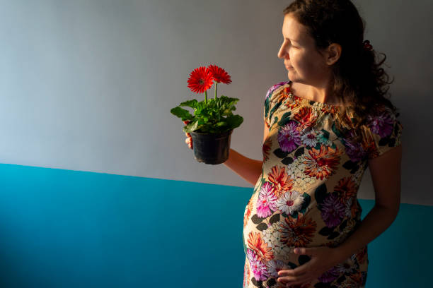 schwangere mutter mit einem blumengeschenk erhalten - mothers day mother single flower family stock-fotos und bilder