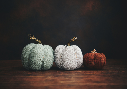 Thanksgiving arrangement with collection of knitted fabric pumpkins