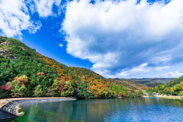istock Japanese autumn leaves 1270152054