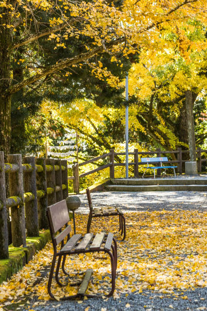 istock Japanese autumn leaves 1270152065