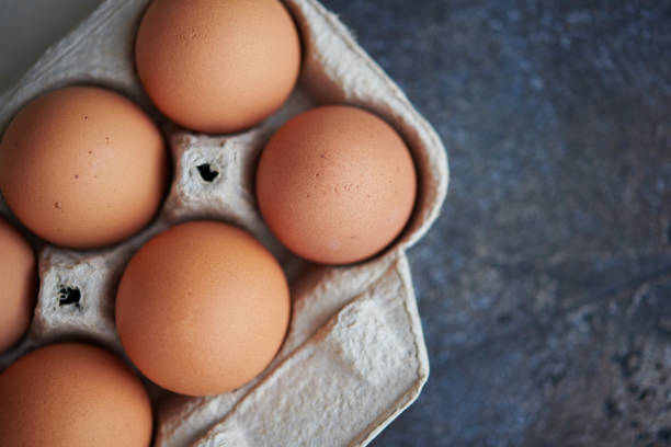 istock Still life image of brown eggs in cardboard egg carton 1270152334