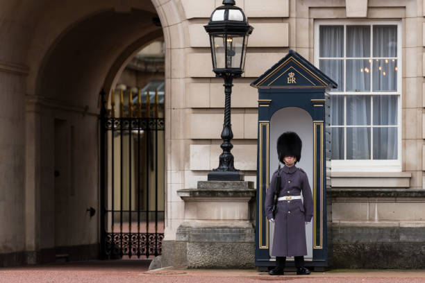 london - honor guard buckingham palace protection london england imagens e fotografias de stock