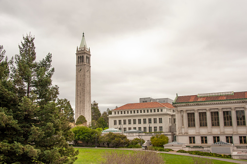 University of California in Berkeley Campus, the campanile and the library building