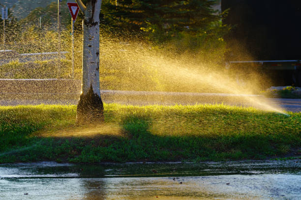 istock Water Spraying Watering Public Roundabout Area 1270159956