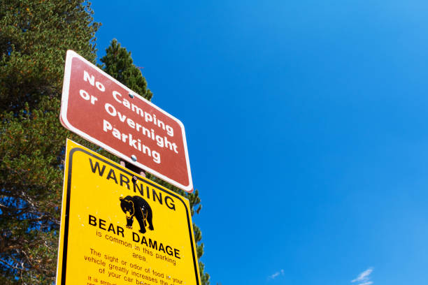 istock Warning bear damage sign informs tourists about possible car damage on parking lot while leaving food inside the vehicle 1270160648