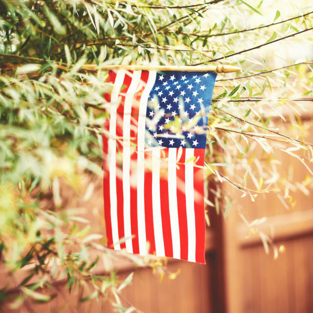istock American flag background in outdoor nature backyard setting 1270160780
