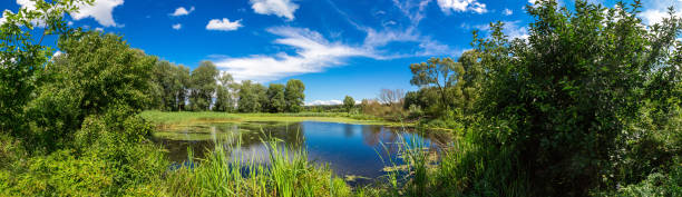 istock Panorama of summer morning lake 1270168687
