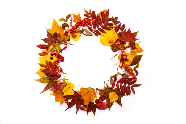 istock Autumn leaves wreath isolated on white background. 1270173644