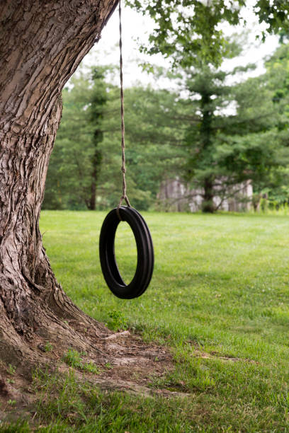 istock Tire swing in country 1270175787