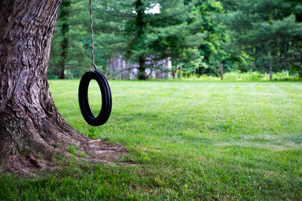 istock Tire swing in country 1270175822