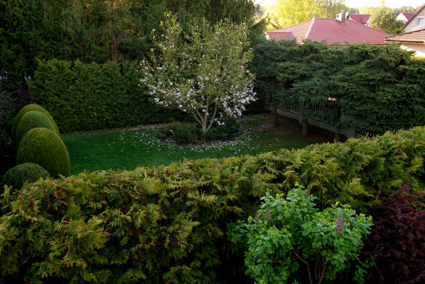 istock suburban landscape with small gardens 1270176453