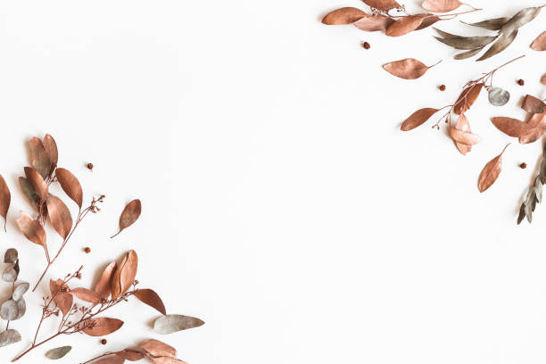 istock Autumn composition. Frame made of eucalyptus leaves on white background. Autumn, fall concept. Flat lay, top view 1270181189