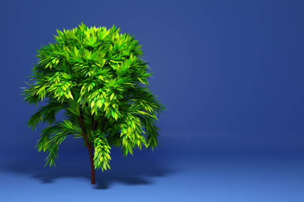istock 3D illustration of three fluffy big green deciduous trees 1270190574