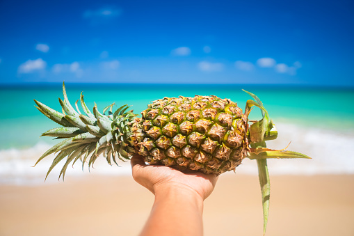 Pineapple on man hand at tropical beach background. Summer vacation and healthy food concept. Vintage tone filter effect color style.