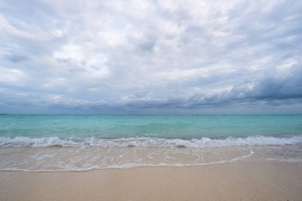 tormenta tropical se acerca a la playa - textured nature hurricane caribbean sea fotografías e imágenes de stock
