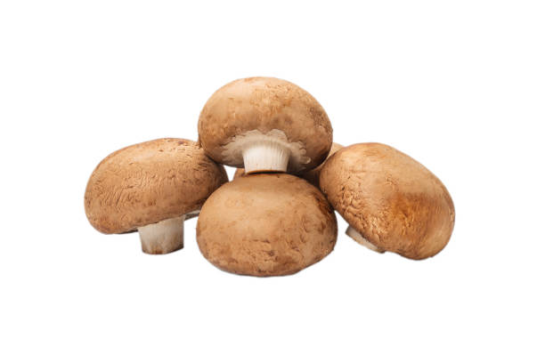 istock Tasty mushroom isolated on white background. 1270197611
