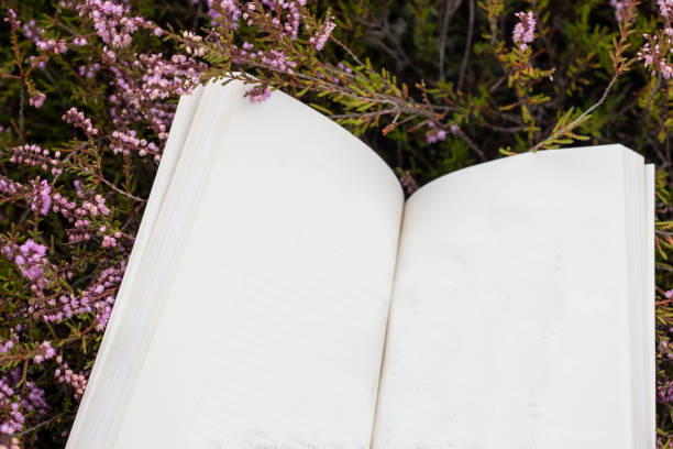 istock An open book on the background of nature. 1270197628