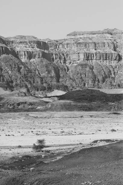 istock Stone desert in black and white 1270197955