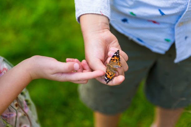 istock Kids playing with a butterfly in the garden 1270201577