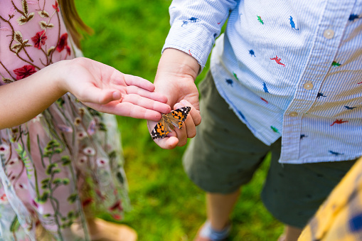 Two friends playing with a butterfly in the garden