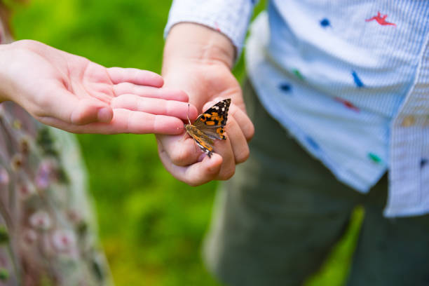 istock Kids playing with a butterfly in the garden 1270201635
