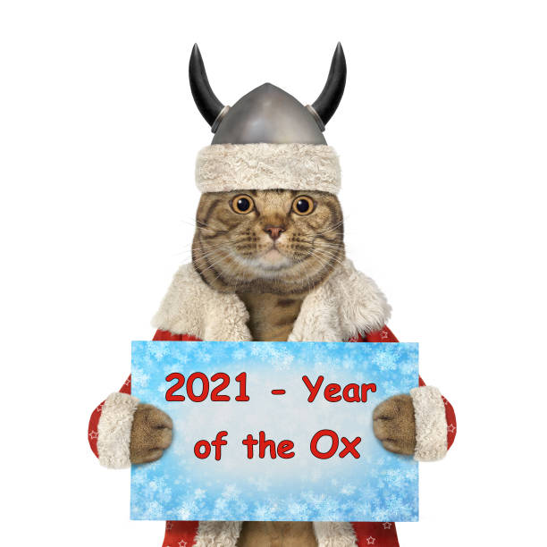 istock Cat Santa in viking helmet 1270203754