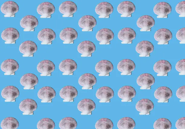Pattern with large sea shells on blue background