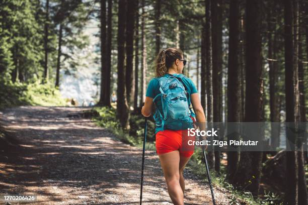 Woman Hiker Walking Trough The Forest By Oeschinen Lake Stock Photo - Download Image Now