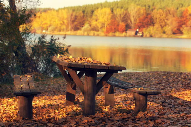 Picnic place in the forest near the lake