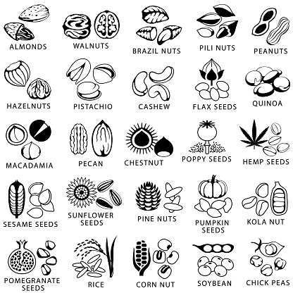 Single color isolated icons of nuts and seeds