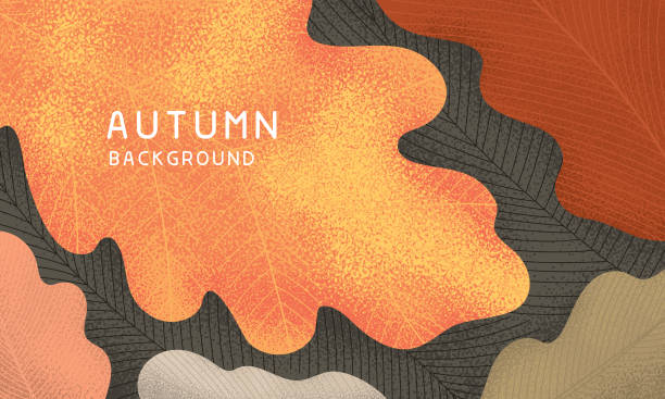Fall leaves background Background with textured oak leaves in autumn colors.
Editable vectors on layers. autumn stock illustrations