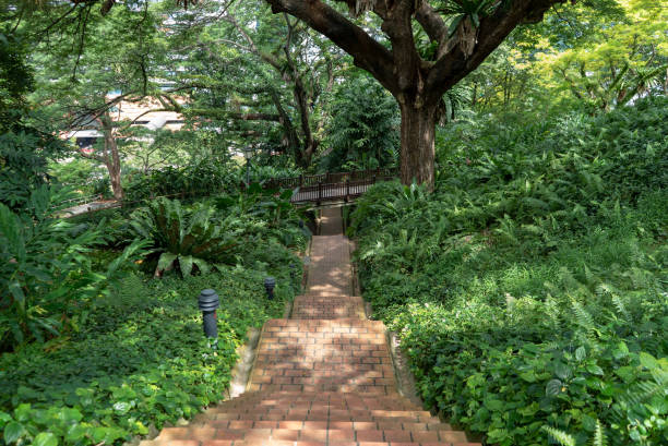 istock A beautiful stairs set in a garden 1270217965