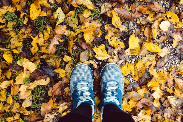 istock Feet on autumn leaves in autumn 1270218015