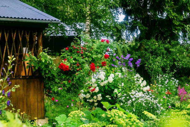 istock Pretty blooming garden with gazebo 1270219803