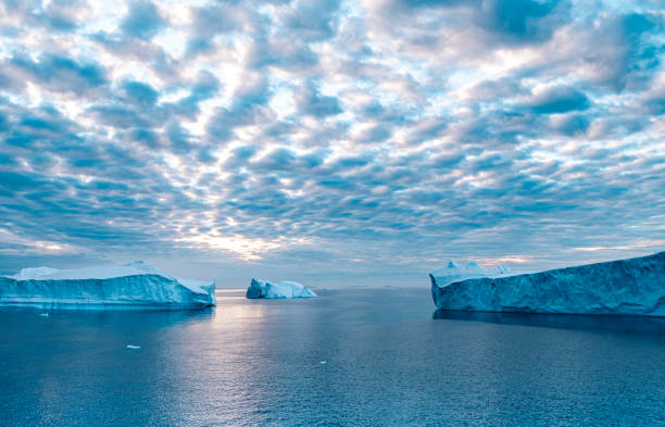 landschaft des meeres mit eisblöcken in der antarktischen schallregion. - südpolarmeer stock-fotos und bilder