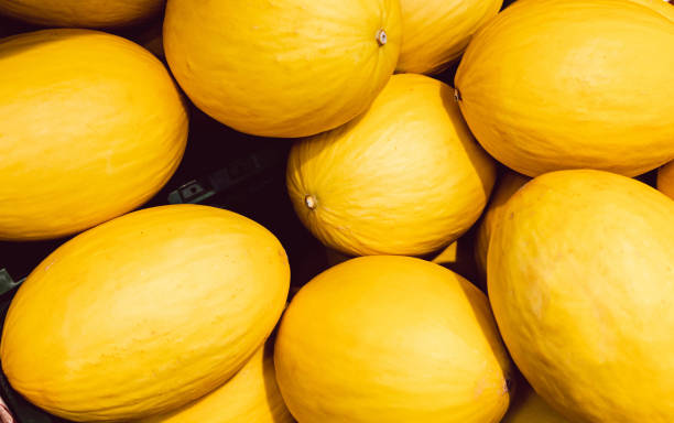 istock Yellow melons at the market 1270220348
