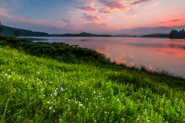 istock Blossom Meadow By a Lake 1270220676