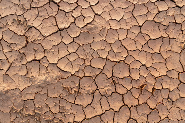 istock Dry soil ground cracks background texture in drought 1270221838