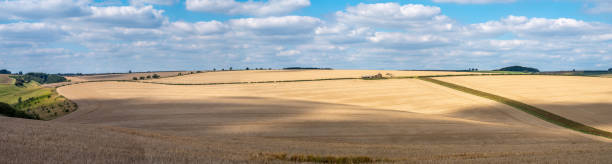 panoramic view of burdale north yorkshire - agricultural activity yorkshire wheat field imagens e fotografias de stock