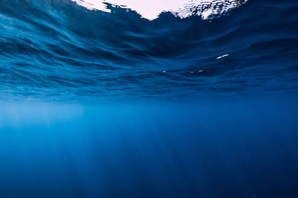 istock Underwater background with waves and sun rays. Transparent underwater ocean 1270223038