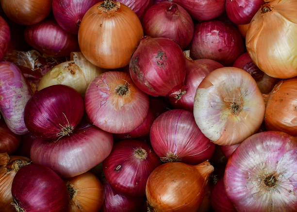 istock Food background onion 1270233077