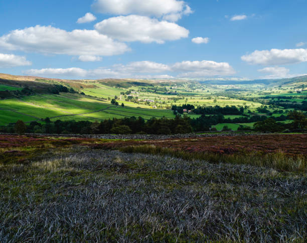 istock North York Moors with heather in bloom, fields, under blue sky. Glaisdale, UK. 1270234261