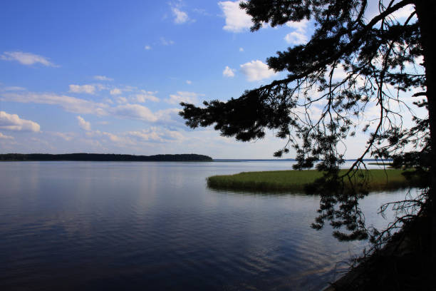 istock Landscape with white clouds on a blue sky above the lake and pine branches 1270234582