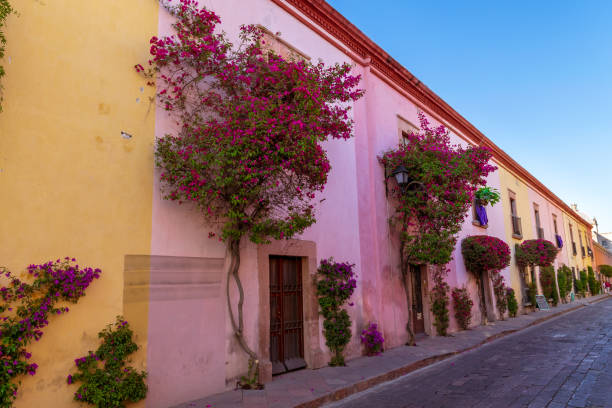 木々のあるカラフルなコロニアル通り - queretaro city ストックフォトと画像