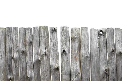 Panorama of old wooden fence of isolated on white background. Broken fence