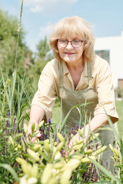 istock Mature Woman Working In Garden 1270245622