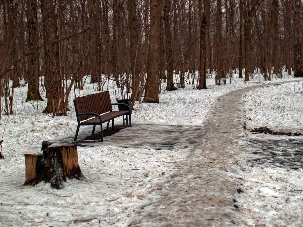 istock paved path in the forest under the snow 1270246194