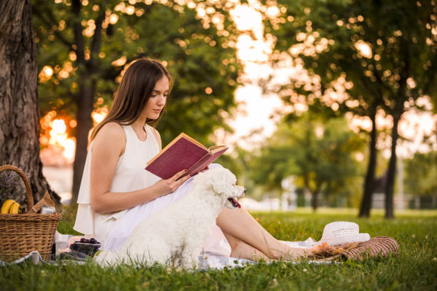 istock Books will open doors of absorbing worlds 1270250531