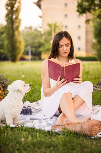 Front view of focused young woman enjoying a book in a public park while sitting on the grass for a picnic with her poodle. It looks at her tenderly.