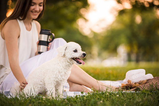 Low angle view of young woman sitting on the grass of a public park to enjoy a lovely spring afternoon. She drinks coffee from a thermos bottle while touching her cute dog.